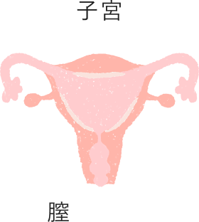 子宮と膣の説明図